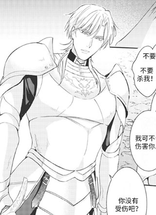 拯救骑士团截图