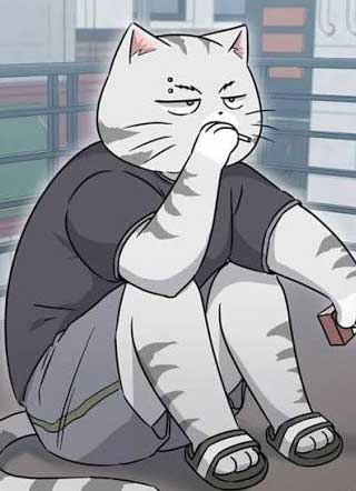 假如全世界都是猫猫截图